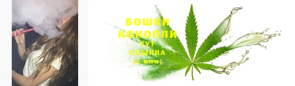 ПСИЛОЦИБИНОВЫЕ ГРИБЫ Аркадак