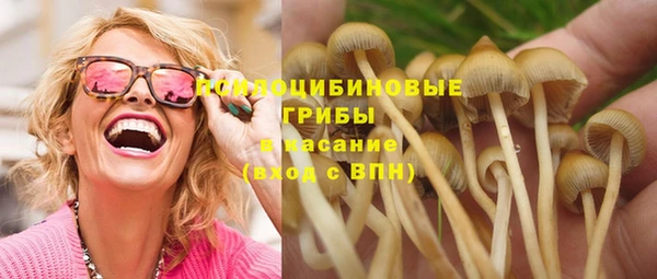 дурь Балахна