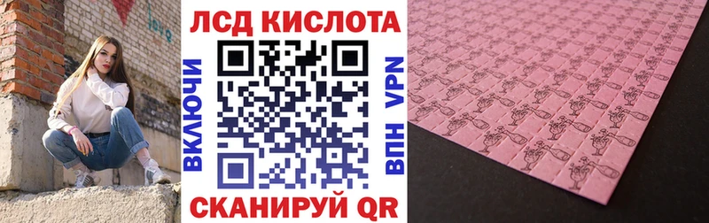 блэк спрут   наркошоп  Камышлов  сайты даркнета состав  Марки N-bome 1,8мг 