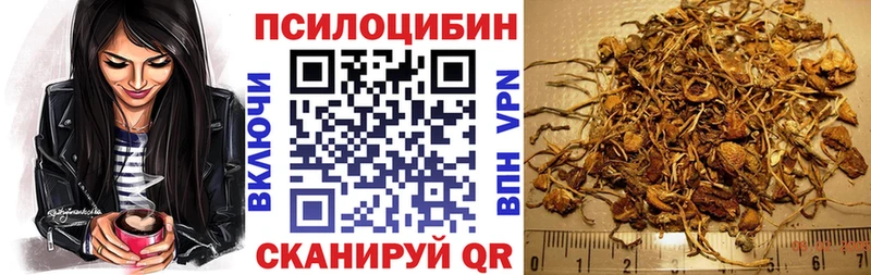 Галлюциногенные грибы Cubensis  Камышлов 